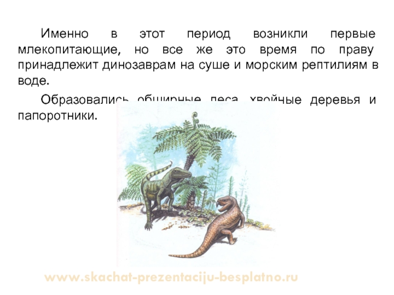 В какую эру появились первые млекопитающие. Млекопитающие период возникли. Когда появились млекопитающие на земле. Первые млекопитающие появились на земле в эру.