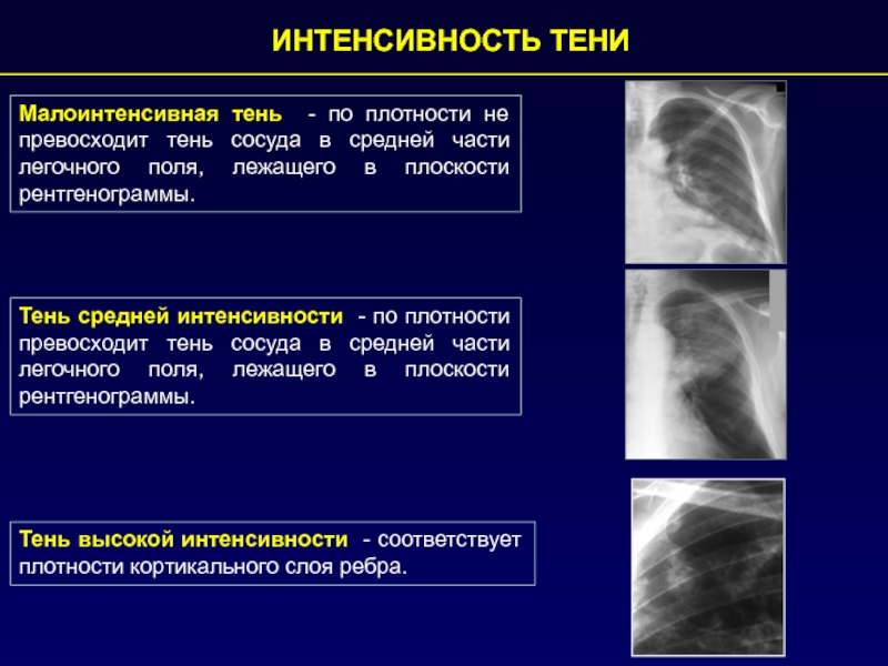 Изображение органов на рентгенограммах является ответ на тест