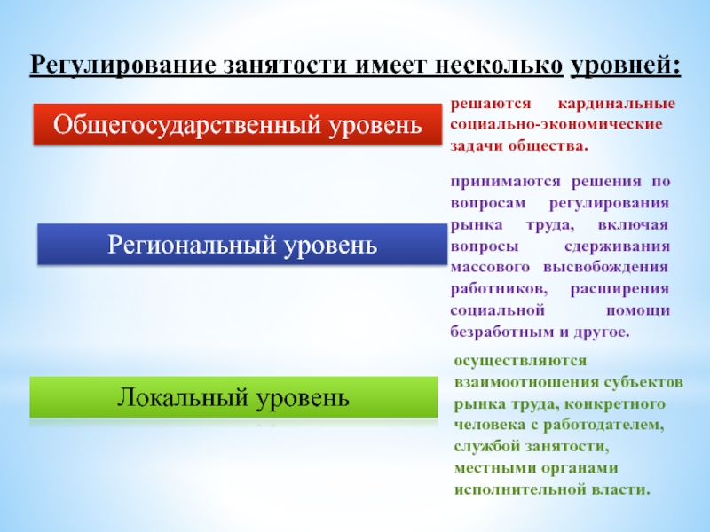 Системы органов занятости населения. Экономические задачи общества. Государственное регулирование занятости населения. Общегосударственней уровень характеристика. Общегосударственный уровень политики занятости.