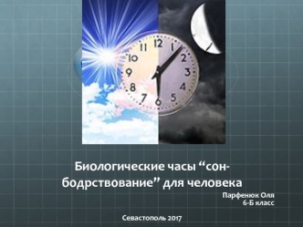 Биологические часы “сон-бодрствование” для человека