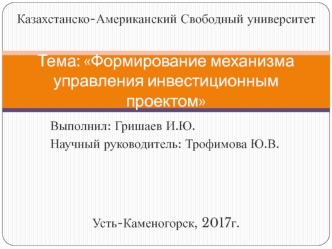 Формирование механизма управления инвестиционным проектом