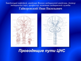 Проводящие пути ЦНС