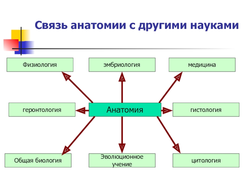 Методы физиологии биология