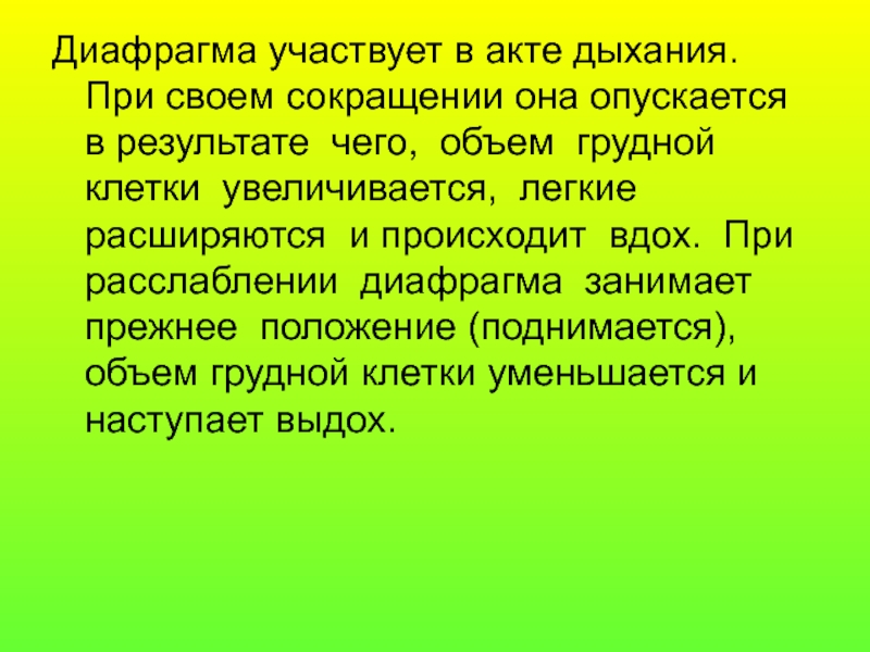 Акт дыхания. Релаксация диафрагмы презентация. Диафрагма участвует. Операции при релаксации диафрагмы. Расслабленная диафрагма.