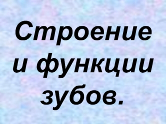 Строение и функции зубов