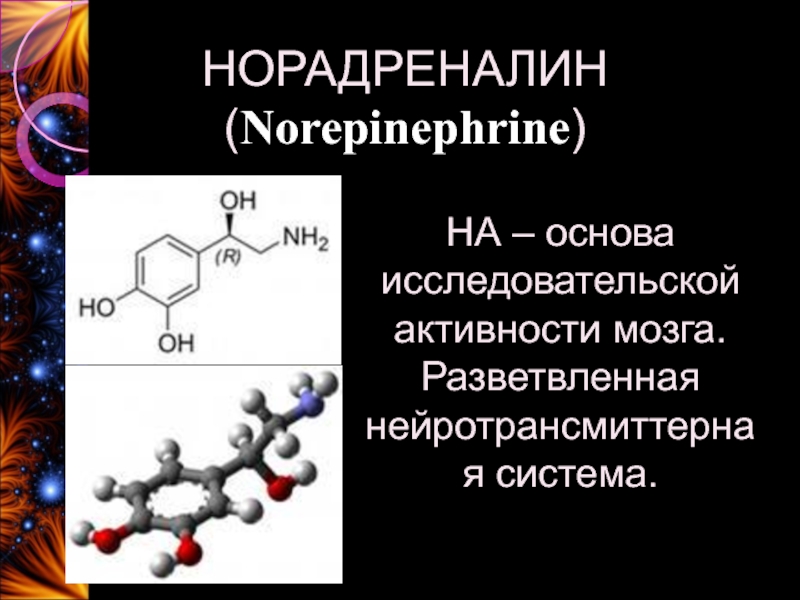 Норэпинефрин это. Норадреналин строение. Нейротрансмиттерная система. Норадреналин функции в нервной системе. Норадреналин под микроскопом.