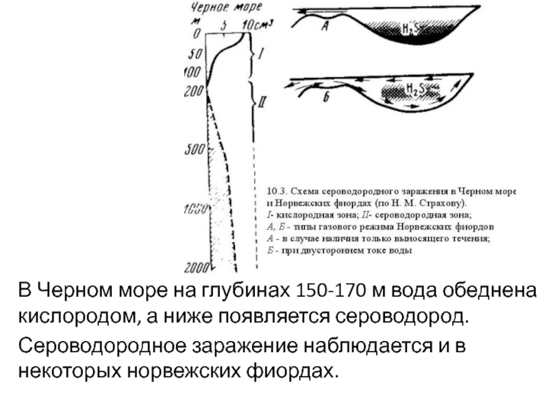 Черное море сероводород на глубине. Чёрное море сероводородный слой глубина. Черное море сероводородный слой карта. Сероводородная зона черного моря глубина. Сероводород в черном море схема.