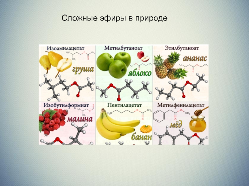 Сложные эфиры применение презентация