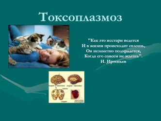 Токсоплазмоз (Toxoplasma gondii)