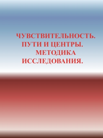 Неврологические основы чувствительности человека