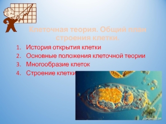 Клеточная теория. План строения клетки