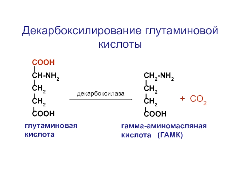 Глутаминовая кислота. Реакция декарбоксилирования глутаминовой кислоты. Синтез гамма аминомасляной кислоты. Декарбоксилирование глутаминовой кислоты. Декарбоксилирование 2-аминопентандиовой кислоты.