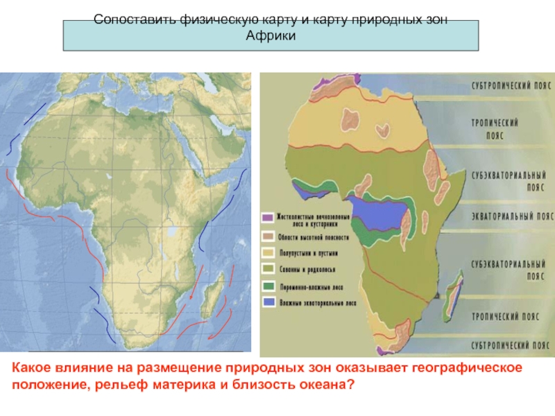 Сопоставьте физическую карту. Природные зоны материка Африка. Географическое положение зоны Африки. Природные зоны Южной Африки. Географическое положение природных зон Африки.