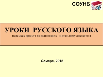 Уроки русского языка (в рамках проекта по подготовке к Тотальному диктанту)