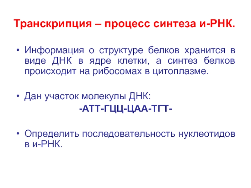 Процесс транскрипции осуществляется в ядре. Информация о структуре белка хранится в. Процесс транскрипции. Транскрипция происходит в ядре. Белки хранят информацию.