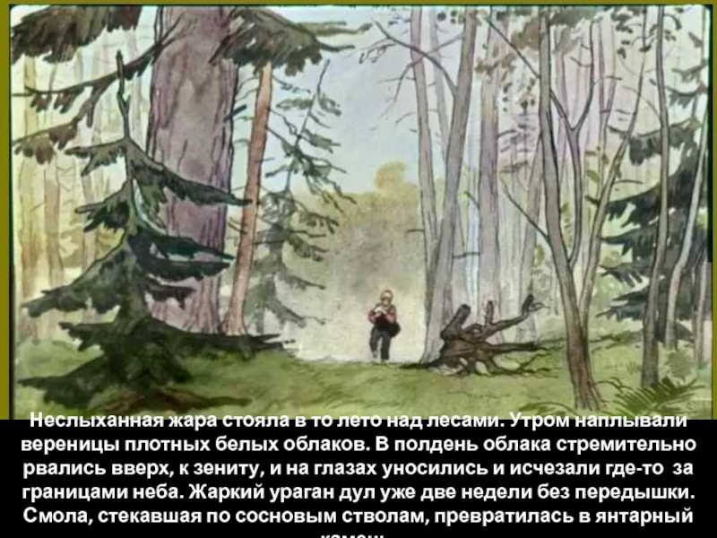 Суть произведения заячьи лапы. Пришвин заячьи лапы. К. Паустовский "заячьи лапы". Иллюстрация к рассказу заячьи лапы. Неслыханная жара стояла в то лето над лесами.