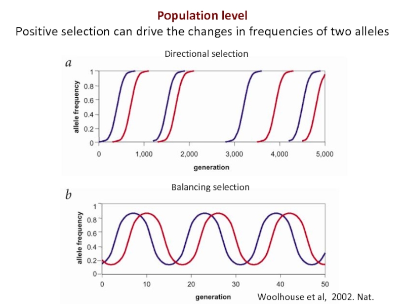 Chang et al. Directional selection examples. Leveling position.