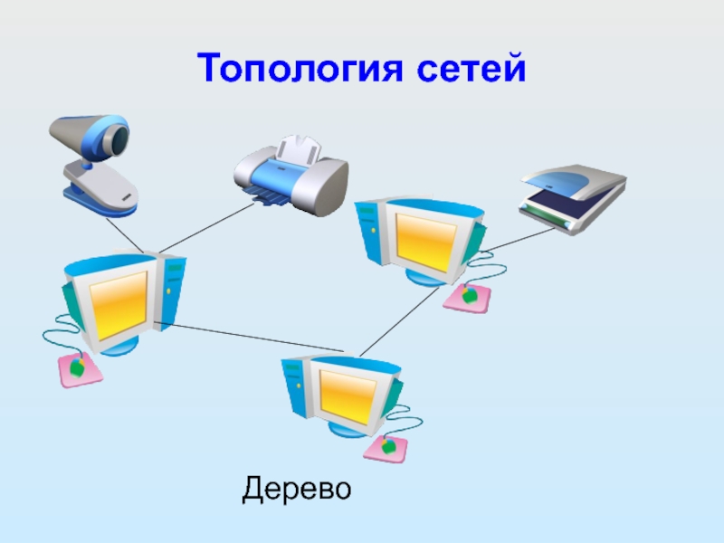 Топология сетей Дерево