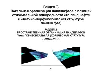 Локальная организация ландшафтов с позиций относительной однородности его ландшафта (генетико-морфологическая структура ландша