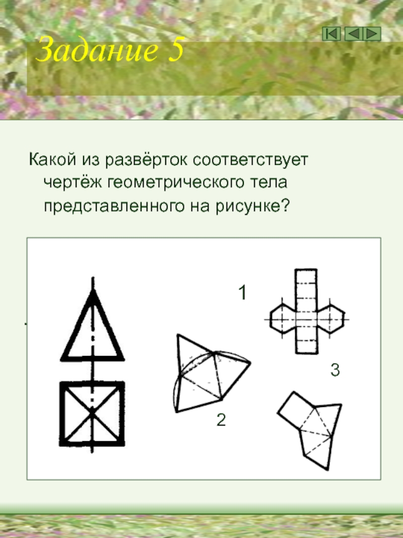 Соответствует чертежу. Развертки каких геометрических тел представлены. Развёртка какого геометрического тела представлена на изображении?. Описание геометрического чертежа. Какие геометрические тела соответствуют своим разверткам.