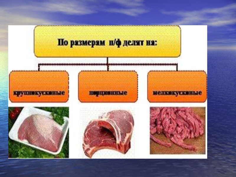 Реферат: Механическая и кулинарная обработка мяса
