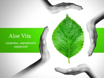 Aloe Vita. Общая информация