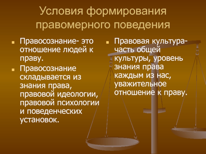 Правосознания правоотношения презентация