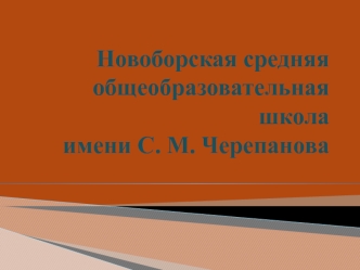 Новоборская средняя общеобразовательная школа. Залы музея