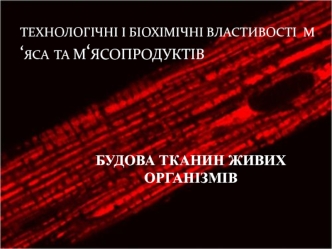 Технологічні і біохімічні властивості м‘яса та м‘ясопродуктів. Будова тканин живих організмів