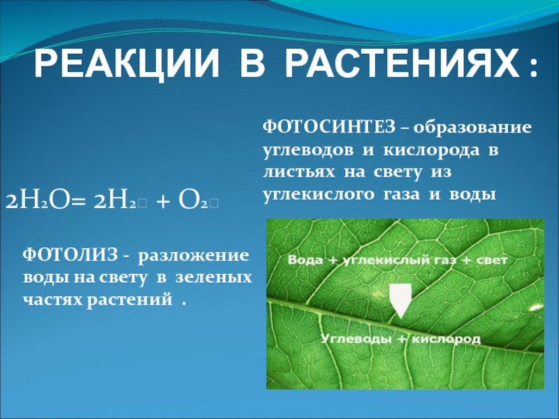 Углекислый газ и вода реакция. Образование углеводов фотосинтез. Фотосинтез химия. Разложение воды в фотосинтезе. Фотосинтез это процесс образования.