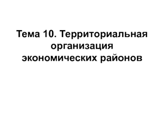 Территориальная организация экономических районов