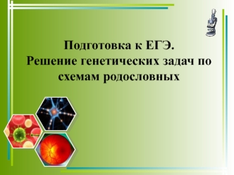 Подготовка к ЕГЭ. Решение генетических задач по схемам родословных