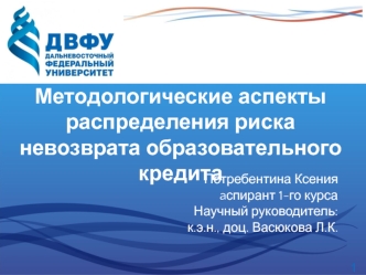 Методологические аспекты распределения риска невозврата образовательного кредита