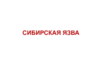 Сибирская язва