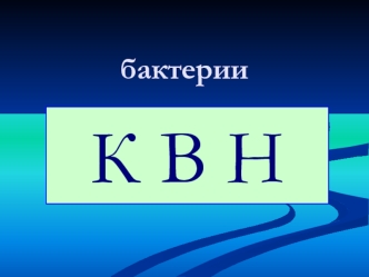 бактерии квн