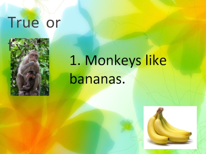 Банан для презентации. True or false 3 класс. Like Banana. Do Monkeys like Bananas ответ на вопрос.