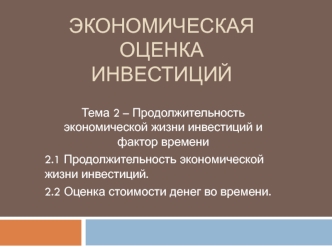 Продолжительность экономической жизни инвестиций и фактор времени