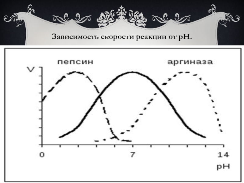 Зависимость в 12