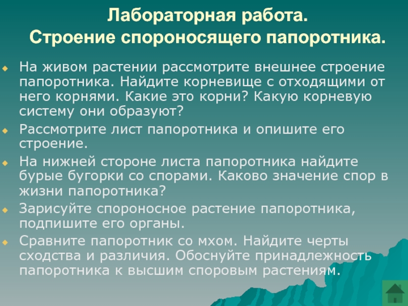 Особенности жизнедеятельности папоротников. Лабораторная работа строение папоротника. Папоротниковидные строение. Каковы прогрессивные черты в строении папоротникообразных. Лабораторная работа строение и значение слова.