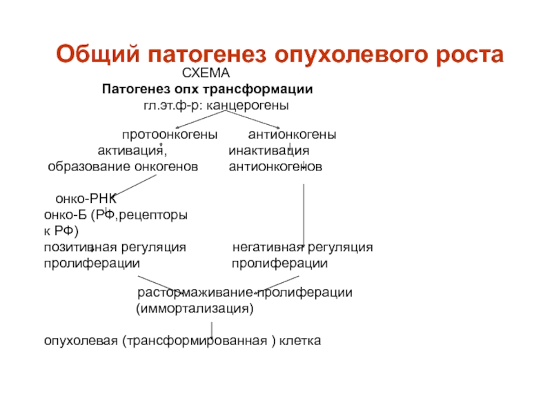 Патофизиология опухолевого роста презентация