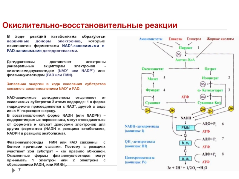 Укажите схему процесса окисления