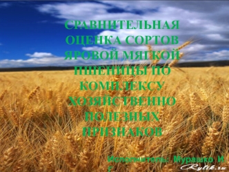 Сравнительная оценка сортов яровой мягкой пшеницы по комплексу хозяйственно полезных признаков