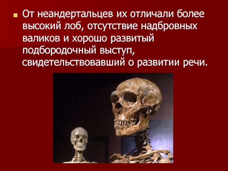 Лоб неандертальцев. Подбородочный Выступ у неандертальцев. Неандерталец надбровные валики. Подбородочный Выступ у палеоантропов. Неандерталец таблица надбровные валики.