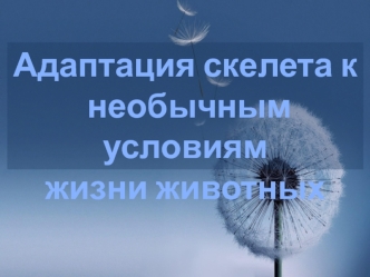 Адаптация скелета животных к необычным условиям жизни