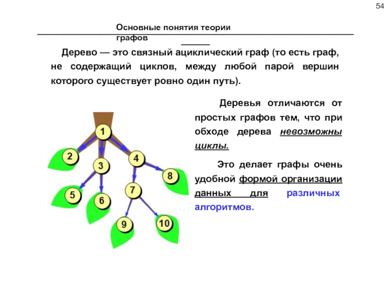 Предложение и дерево связей