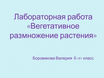 Вегетативное размножение растения