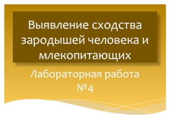 Выявление сходства зародышей человека и млекопитающих