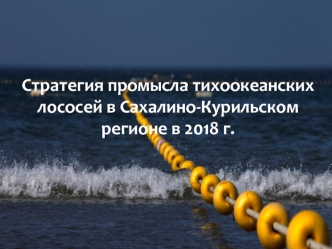 Стратегия промысла тихоокеанских лососей в Сахалино-Курильском регионе в 2018 году