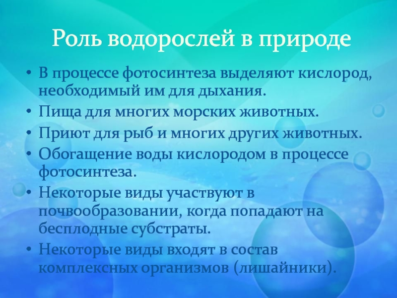 Роль водорослей в природе человека. Роль водорослей в природе. Экологическая роль водорослей. Функции водорослей. Сообщение о роли водорослей в природе.