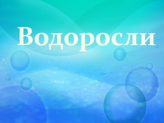 Водоросли. Виды водорослей